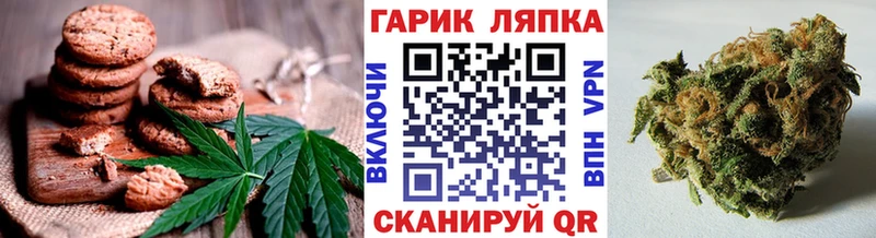 Cannafood конопля  Новодвинск 