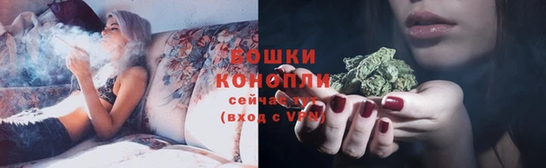 ГАЛЛЮЦИНОГЕННЫЕ ГРИБЫ Алзамай