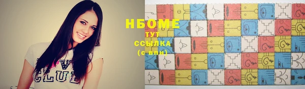 молекула духа Арсеньев