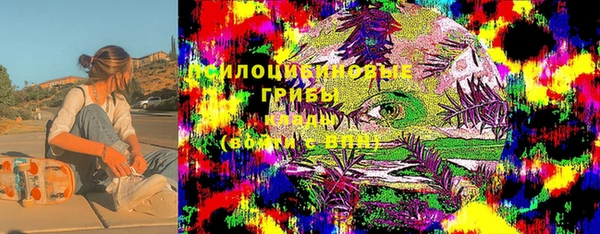 молекула духа Арсеньев