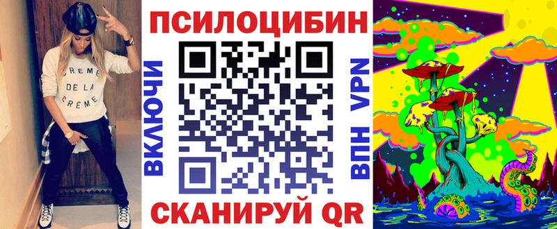 наркота  Новодвинск  Псилоцибиновые грибы прущие грибы 