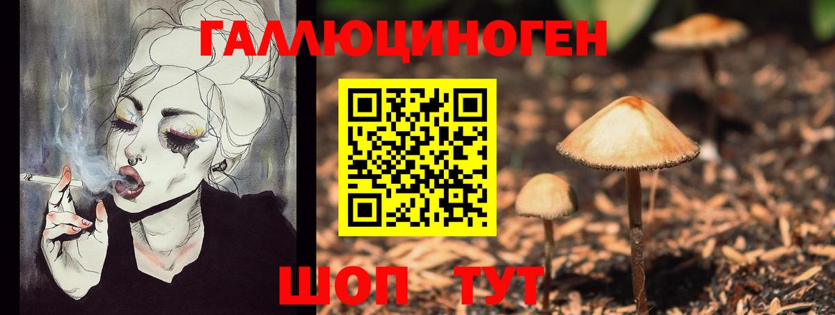 Псилоцибиновые грибы Psilocybe  Галлюциногенные грибы мицелий  Вход с VPN  Новодвинск 